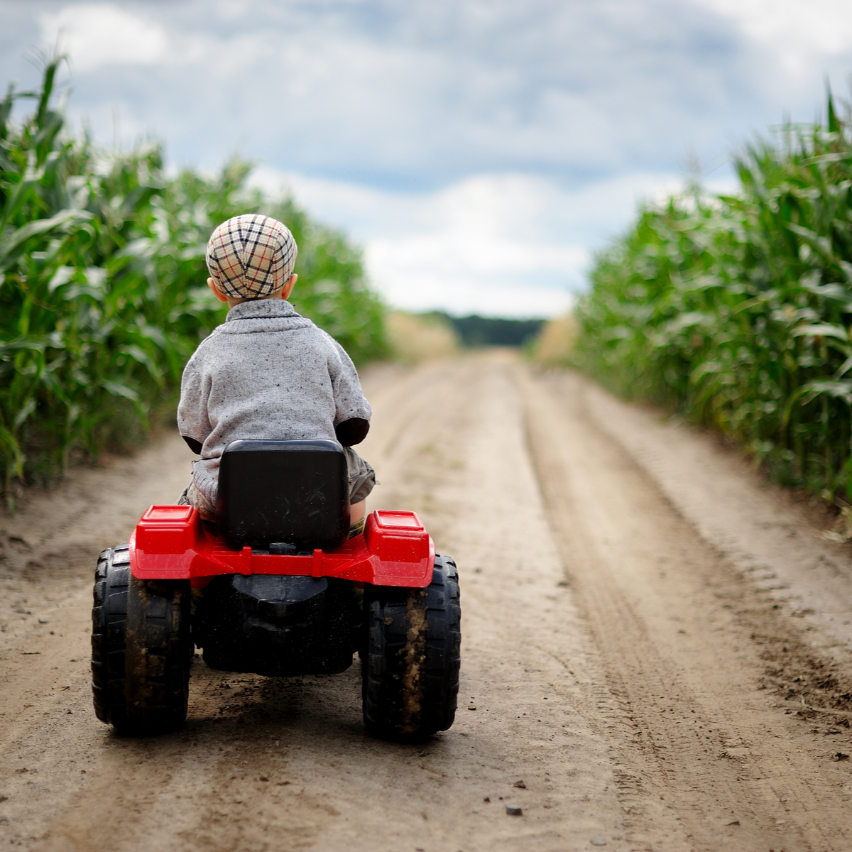 Tractor Square 1200 x 1200