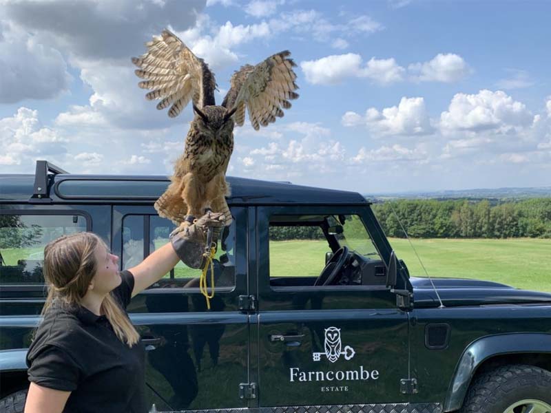 Activities_0002_Falconry Falconry